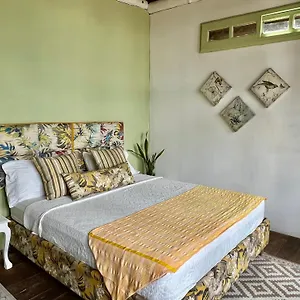 https://carex-beach-club-hostel.cartagena-hotels.org